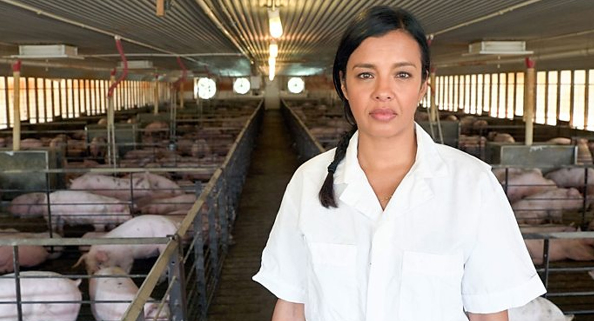 BBC One To Screen Meat A Threat To Our Planet Animal Agriculture 