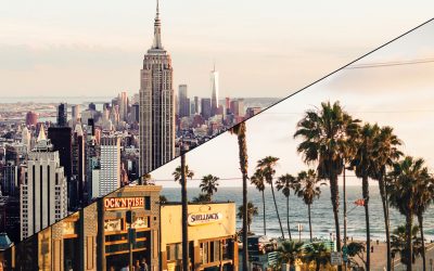 Two largest cities in the US ban meat to protect Amazon