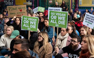 The Cargill family faces a historic choice: heroes or villains for the planet?