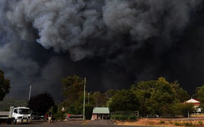 The year we finally woke up to the climate emergency
