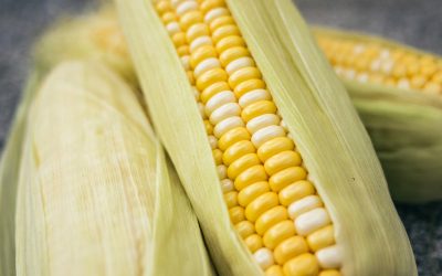 Food production in jeopardy if the planet continues to warm