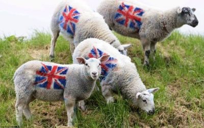 NFU’s goal for farming ignores the elephant in the room