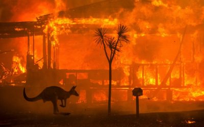 Australia’s angry summer – thanks to climate change