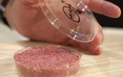 The future of fake meat