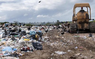Humanity needs to curb material consumption to avoid global disaster