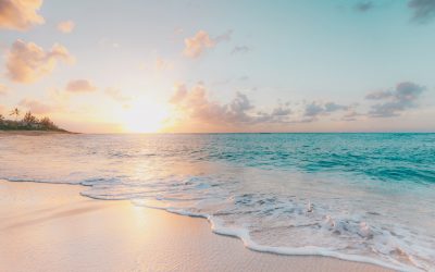 Ocean temperatures reached record highs in 2019