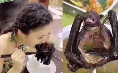 Amid fears of Coronavirus spreading, China bans consumption of wild animals