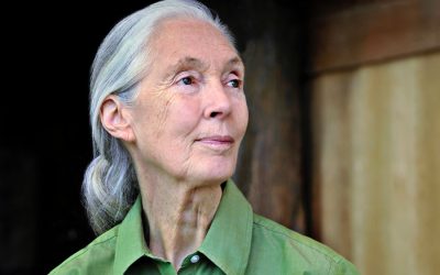 Despite dark times, Jane Goodall is still hopeful