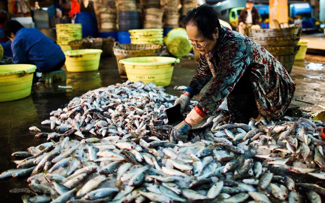 china sea food market