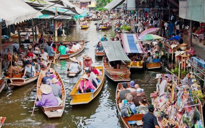 Thai Animal Agriculture Firm Launch Plant-Based Options