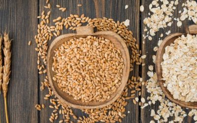 Converting Dairy Farms into Oats Oasis