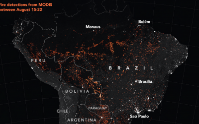 Point of no return for the Amazon Rainforest reached