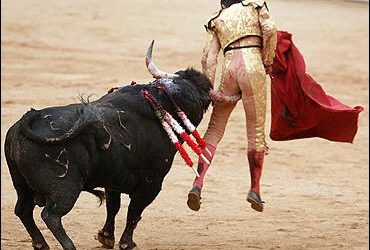 Fears of Coronavirus leads to 21 Bullfighting evens being canceled saving 120 bulls