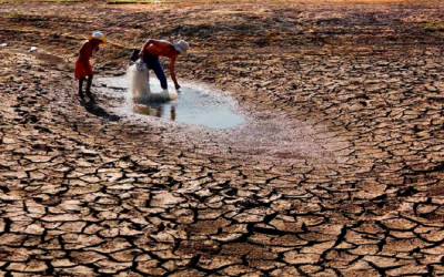 Climate Crisis Should Be Treated With the Same Urgency As Coronavirus