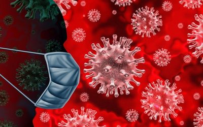 Just where do viruses come from?