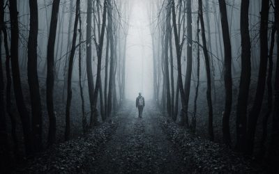 Wake-up Humans – We’re  running out of time