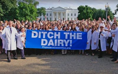 Consuming Cow’s Milk May Increase the Risk of Breast Cancer