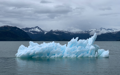 The World Is “Way Off Track” Regarding Climate Change – UN