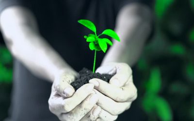 Protect The Natural Environment To Save Humanity