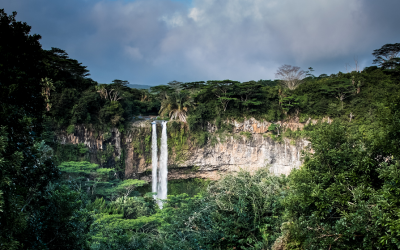 Human activities have pushed deforestation in the Amazon to the brink