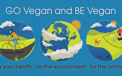 Can you really help the planet by going vegan?