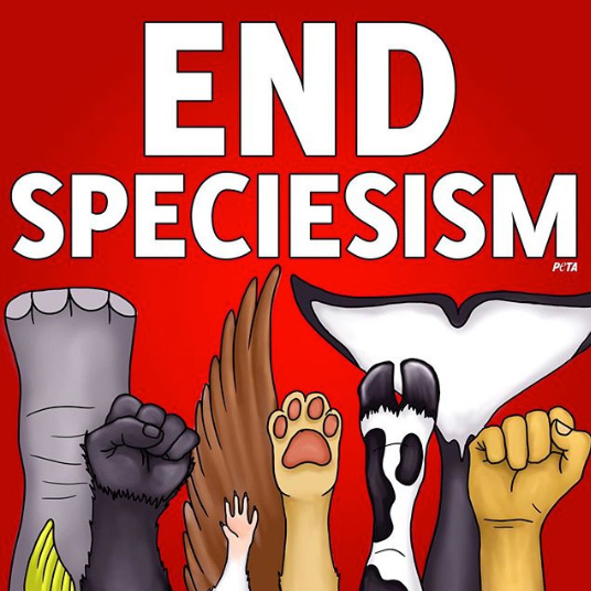 EndSpeciesism
