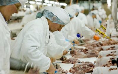 Pig Slaughterhouse is Biggest Source of Coronavirus Cases in U.S