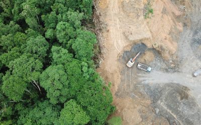Amazon Deforestation is “Worst Its Been in Over a Decade”