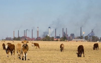 Greenhouse Gas Emissions From Agriculture Much Higher Than We Thought