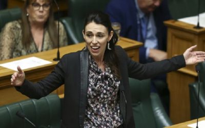 New Zealand’s “Green Report” A Giant Step in the Right Direction