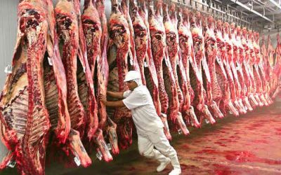 America Produces 100 billion Pounds of Meat a Year, New Study Finds