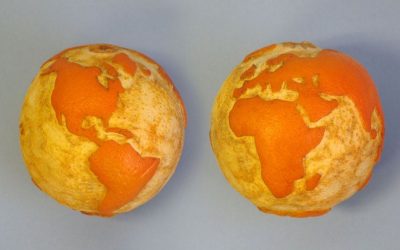 Study Finds Dramatic Impact of Vegan Diet on Sustainability
