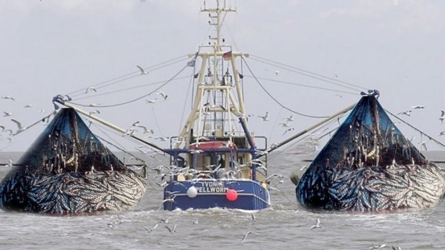 trawlers in ocean
