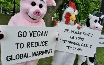 Just how friendly is a vegan diet?