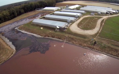 Report: Meat Industry World’s Biggest Water Polluters