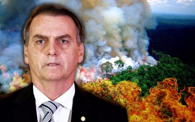 Activists Concerned About Brazil’s Attack on The Amazon During COVID-19 Pandemic