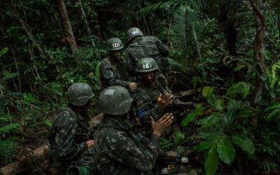 Brazil Claims to Have Plan To Halt Amazon Deforestation – Deploys Troops