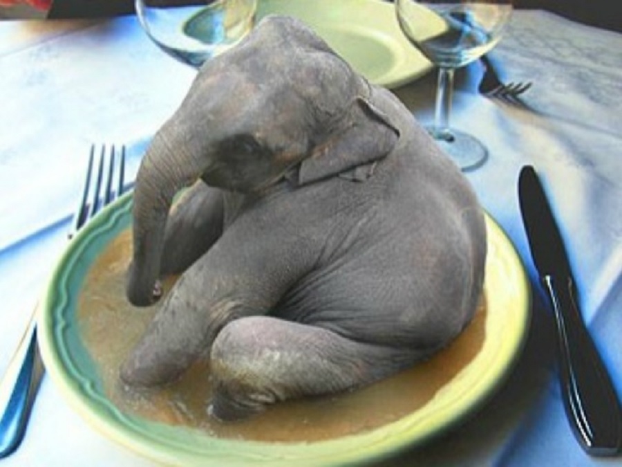 elephant soop