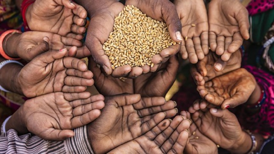 10 Ways COVID-19 Helped Us See the Cracks in Our Food System