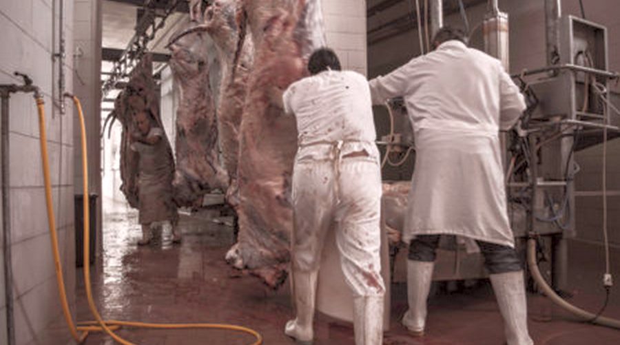 german slaughterhouse 3
