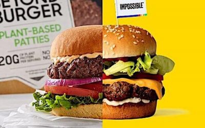 Plant-Based Alternative Meat vs. Beef: How Does Diet Impact the Environment?