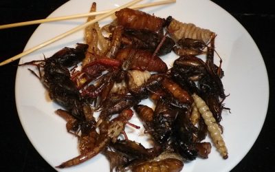 Plants or bugs? Survey sheds light on consumer eating habits
