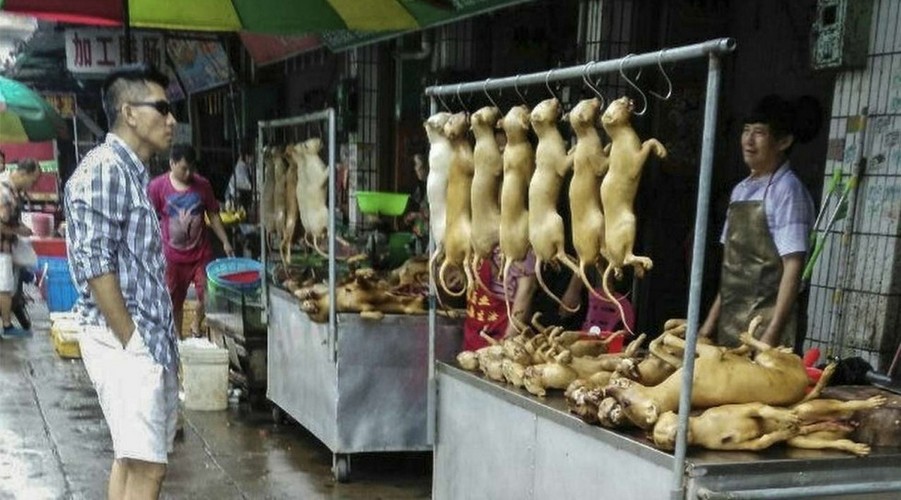 chinese wet markets 3