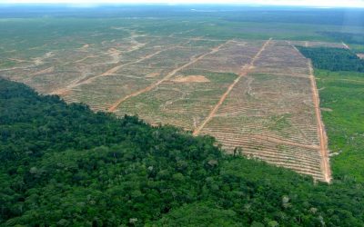 The Systems Of Our Planet Are Interconnected: Human, Animal and Plant Health, & Environment.
