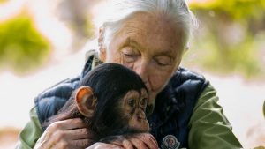 jane goodall 2