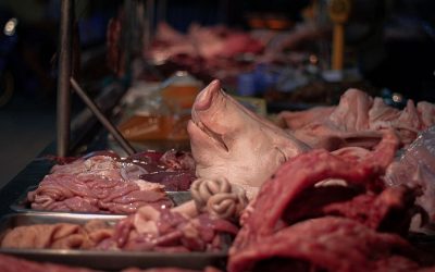 Asia’s unruly meat industry could cause more pandemics