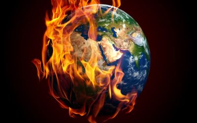 Americans don’t know the impact their food has on climate change