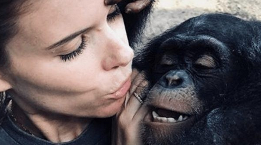 Kate Mara on chimpanzee sanctuaries, motherhood and the optimistic future of veganism