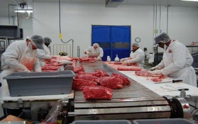 COVID-19 causes huge drop in red-meat production
