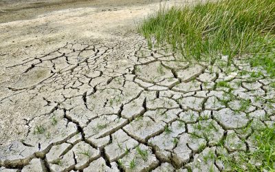 Earth meeting record high temperatures signals the need for urgent change